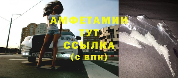 молекула духа Снежинск