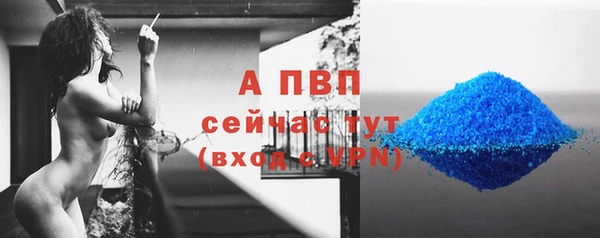 стаф Баксан