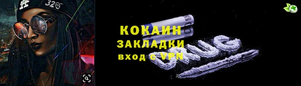 молекула духа Снежинск