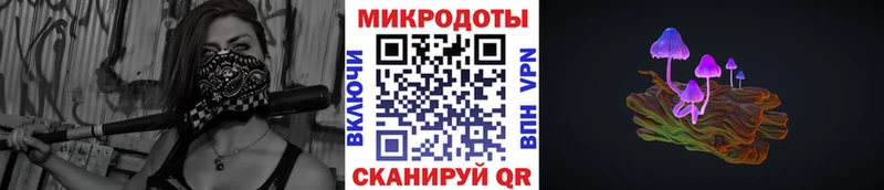 darknet Telegram  Белозерск  Псилоцибиновые грибы мицелий  где купить  